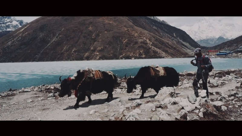 Фильм о походе в Гималаи